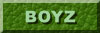 Boyz